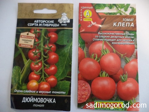 лучшие сорта томатов черри 1